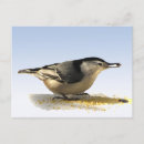 Suche nach brust postkarten Tiere