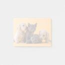 Suche nach dacshund Welpe