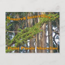 Suche nach monarch postkarten Park