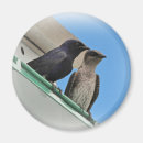 Suche nach schluck magnete Tierwelt