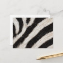Suche nach zebra streifen postkarten Afrikanische tiere