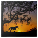 Suche nach reiten fliesen Pferdeziegel