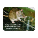 Suche nach lustige ratte magnete Spaß