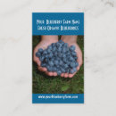 Suche nach blaubeere visitenkarten Nahrung