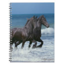 Suche nach reiter notizbuch Fantasie