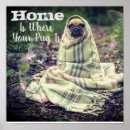 Suche nach mops liebe poster Haustier