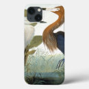 Suche nach john jame audubon Vogel