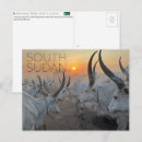 Suche nach rinder postkarten Afrika