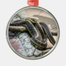 Suche nach strumpfband Reptilien
