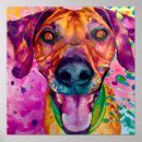 Suche nach rhodesian ridgeback poster Welpe