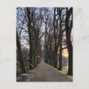 Suche nach lampe poster Park