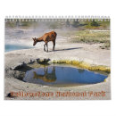 Suche nach yellowstone kalender Natur