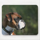 Suche nach profil mousepads Foto