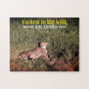 Suche nach gepard puzzle Foto