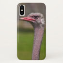 Suche nach strauss iphone hüllen Tier