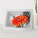 Suche nach feuer blume karten Orange