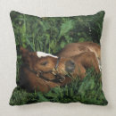 Suche nach fohlen kissen Gras