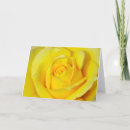 Suche nach rose karten Quelle
