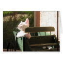 Suche nach rosa panther Katze