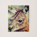 Suche nach känguru puzzle Wildtiere