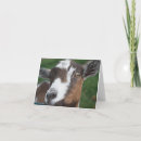 Suche nach niedliche ziege karten Tiere