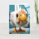 Suche nach huhn karten Henne