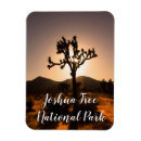 Suche nach joshua baum magnete Landschaft