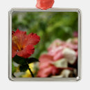 Suche nach malerische ornamente Cindy miller hopkins