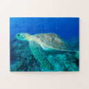 Suche nach kleine puzzle Unterwasser