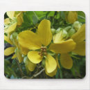 Suche nach duschen mousepads Blume