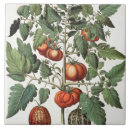 Suche nach vegen fliesen Jahrhundert