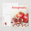 Suche nach granatäpfel postkarten Süß