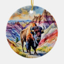Suche nach badlands ornamente Süddakota