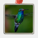 Suche nach kolibrie ornamente Vogel