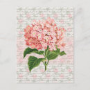 Suche nach vintage hydrangea postkarten Blume