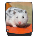 Suche nach schwarzer hamster Niedlich