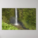 Suche nach insel von hawaii poster Tropisch