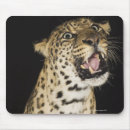 Suche nach brüllend mousepads Wild lebende tiere