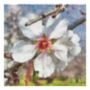 Suche nach almond poster Natur
