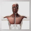 Suche nach menschlicher arm poster Ausgestreckte arme