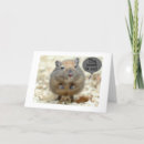Suche nach gerbil postkarten Von der gruppe