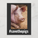 Suche nach weg vom haken poster postkarten Schwein