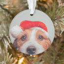 Suche nach jack russell ornamente Welpe