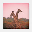 Suche nach rosa giraffe magnete Tier