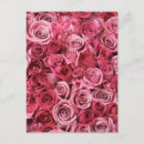 Suche nach schöne rosa rosen postkarten Romantisch
