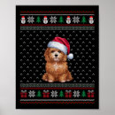 Suche nach maltipoo poster Zuhause