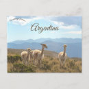 Suche nach lamas postkarten Natur