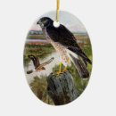 Suche nach sümpfe ornamente Vintag