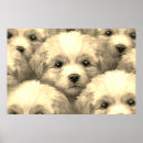 Suche nach blonde poster Wandkunst