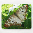 Suche nach tropischer schmetterling mousepads Exotisch